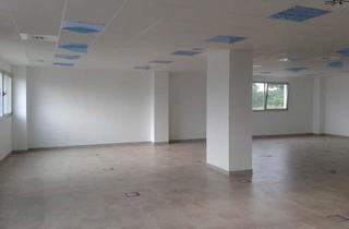 Location Bureau à Camas. Oficina disponible sevilla aljarafe