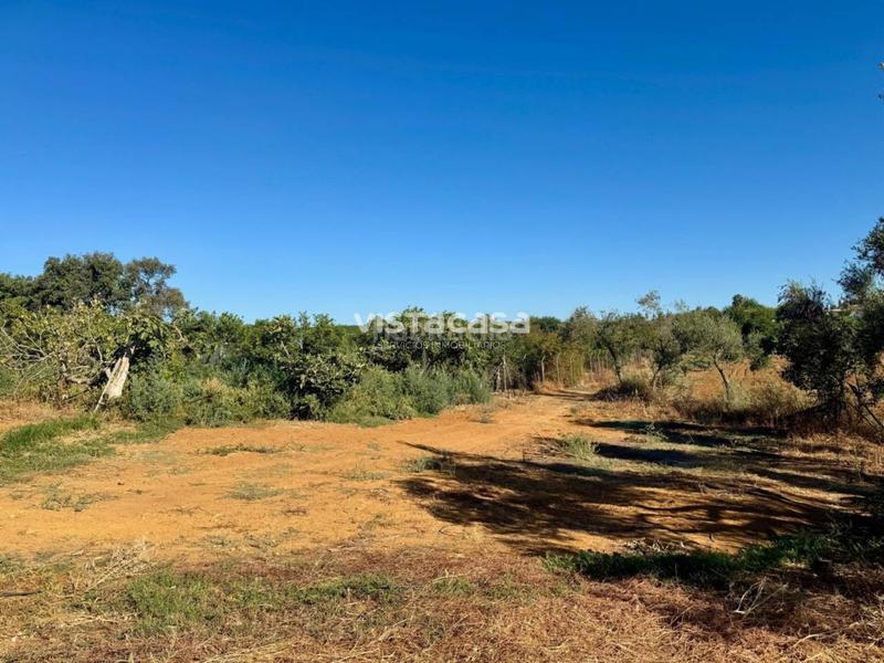 Foto 0406ed69-0900-4399-ab95-6d894ff1cc44. Propriété dans Mairena del Alcor