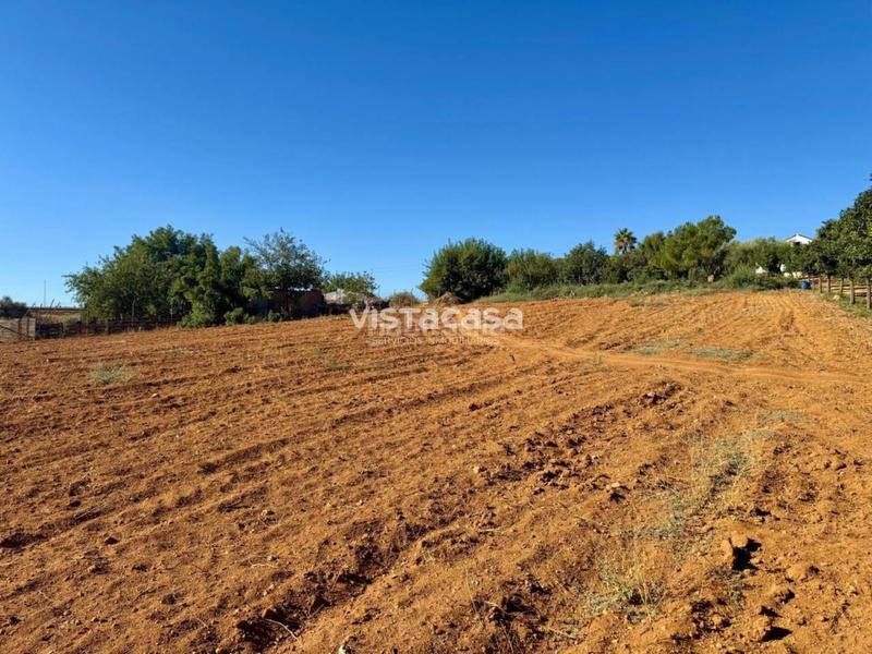 Foto 0d3309f7-8e9a-4014-b288-9bc4d79f03b8. Propriété dans Mairena del Alcor