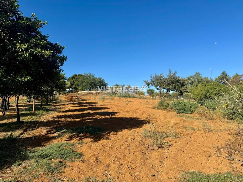 Foto 0e56eb7f-9096-42bd-a38e-5ed352a39801. Propriété dans Mairena del Alcor