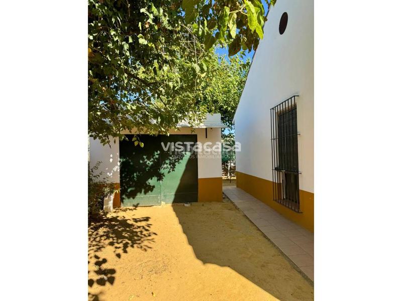 Foto 0ed37e21-9b2b-4c8c-aa73-4bf462375826. Propriété dans Mairena del Alcor