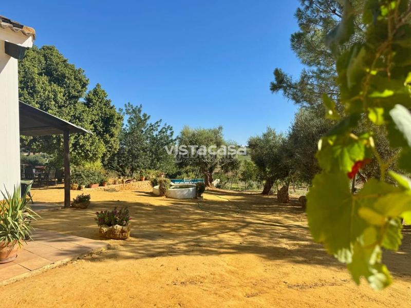 Foto 10f14b09-144e-4f30-82f8-7f5e9fb73c2b. Propriété dans Mairena del Alcor