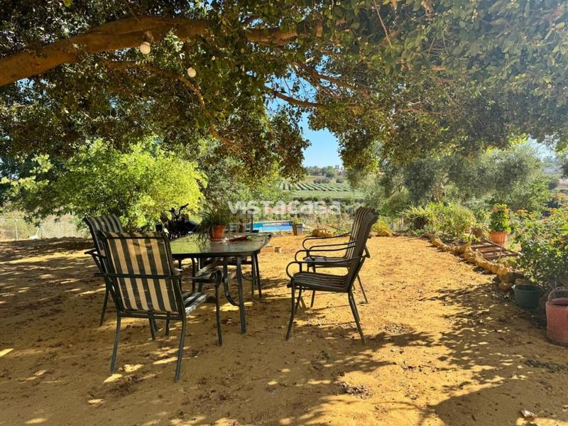Foto 282aab1f-5529-4602-920b-dbeaba9a48dd. Propriété dans Mairena del Alcor