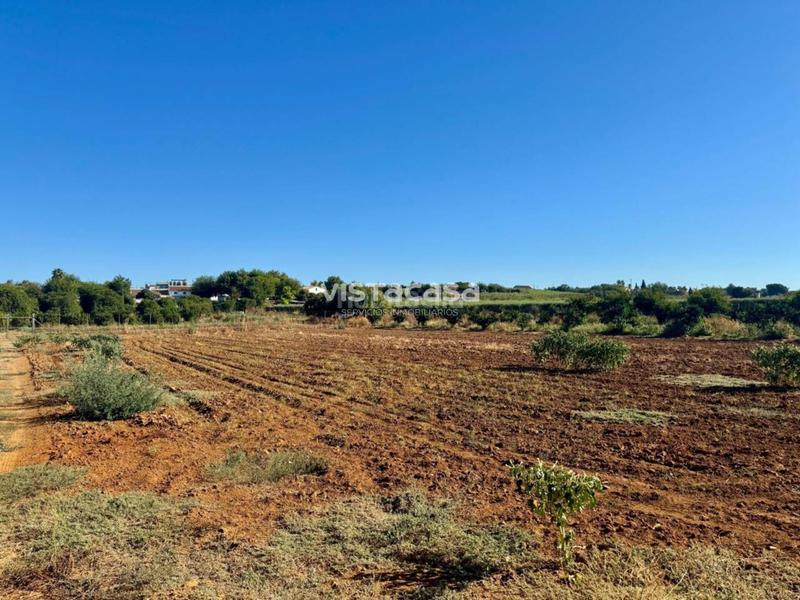 Foto 2862d887-795b-4e4f-9955-3e2c02f2d2a2. Propriété dans Mairena del Alcor