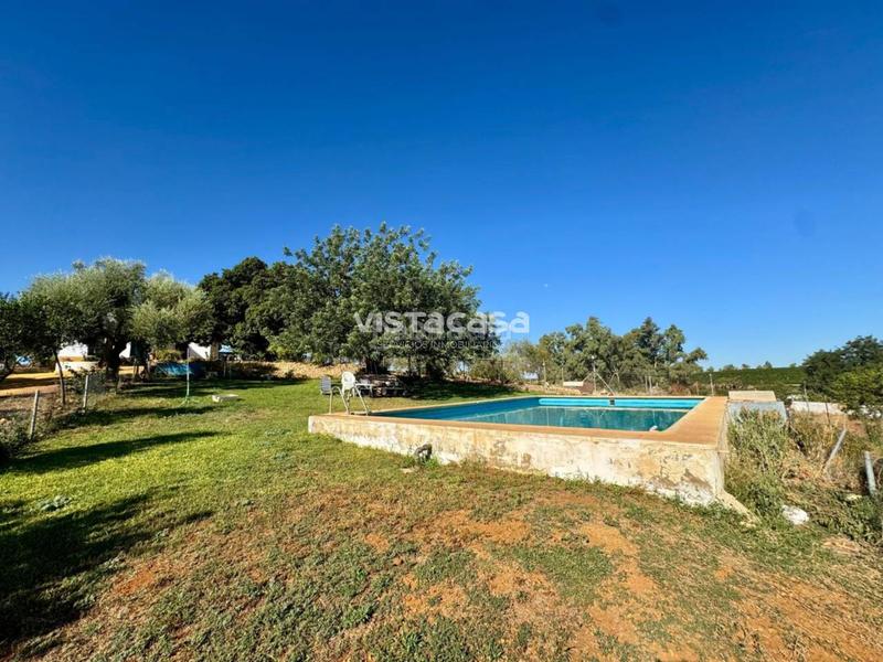 Foto 3d808dd4-5de1-49f3-9fde-961b39571119. Propriété dans Mairena del Alcor