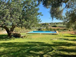 Propriété à Mairena del Alcor. Venta de finca rústica en mairena del alcor