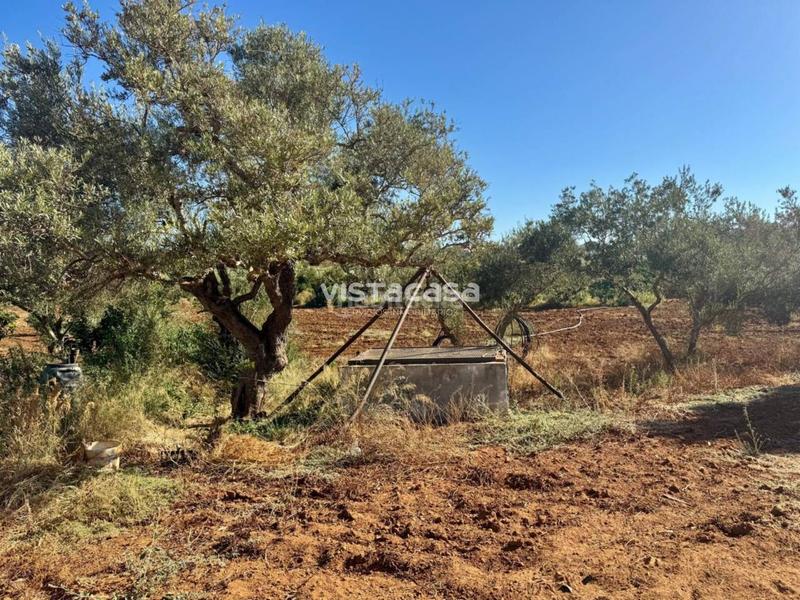 Foto 4ba9e3b2-33c6-40ea-acb6-4ea1f41382f0. Propriété dans Mairena del Alcor