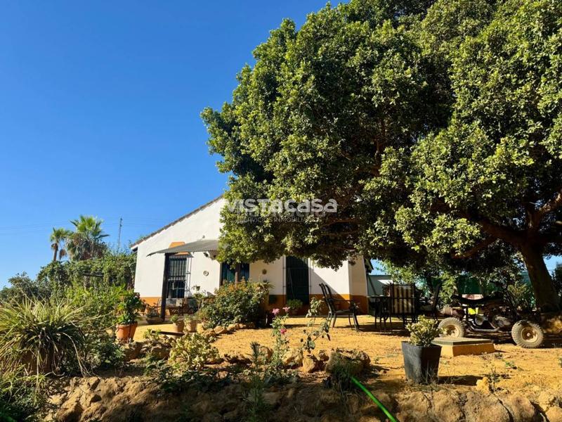 Foto c7cd0559-bfb2-495b-9984-81edb3de44a8. Propriété dans Mairena del Alcor