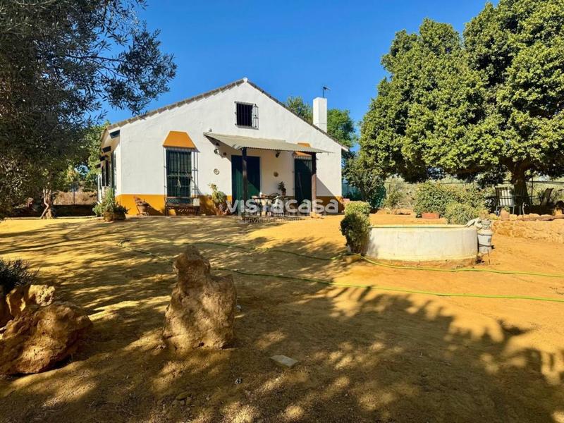 Foto e41f92c2-04ce-46e6-86f9-9171f76d1cd6. Propriété dans Mairena del Alcor