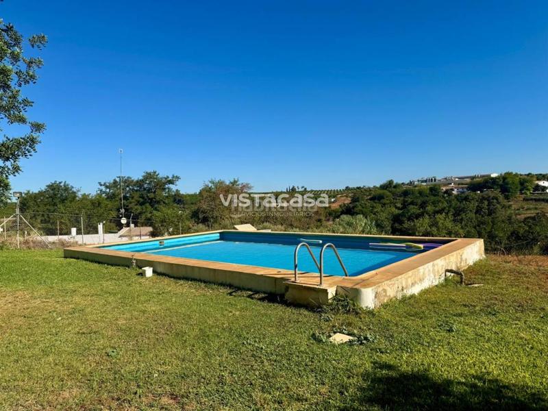 Foto e680b6d3-9b1e-477b-ba13-efb27c35ecde. Propriété dans Mairena del Alcor