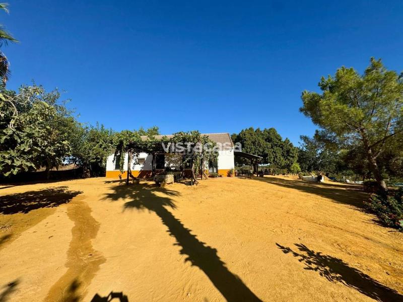 Foto f1bcd247-1e74-4f62-ac1a-c094e333fe2f. Propriété dans Mairena del Alcor