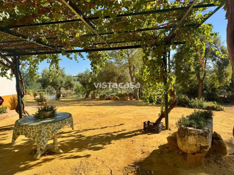 Foto f1ce4ec9-0ac2-42b8-8b6c-ef5dfce376aa. Propriété dans Mairena del Alcor