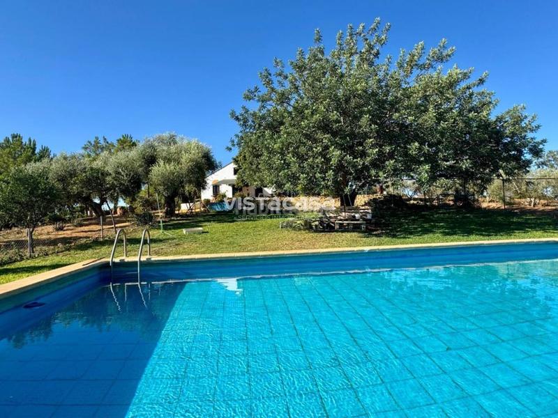 Foto f86d4435-1756-40c2-acdd-7f9f51101277. Propriété dans Mairena del Alcor