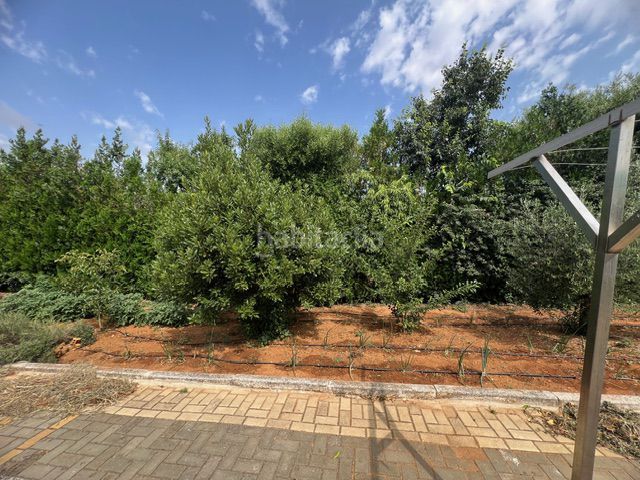 Foto 24bb82b5-d435-47fc-b79d-7b291a6b89e5. Masia a Carmona