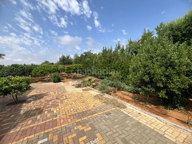 Foto 2b19ced3-e127-4b8f-a132-138fcb203dc4. Masia a Carmona