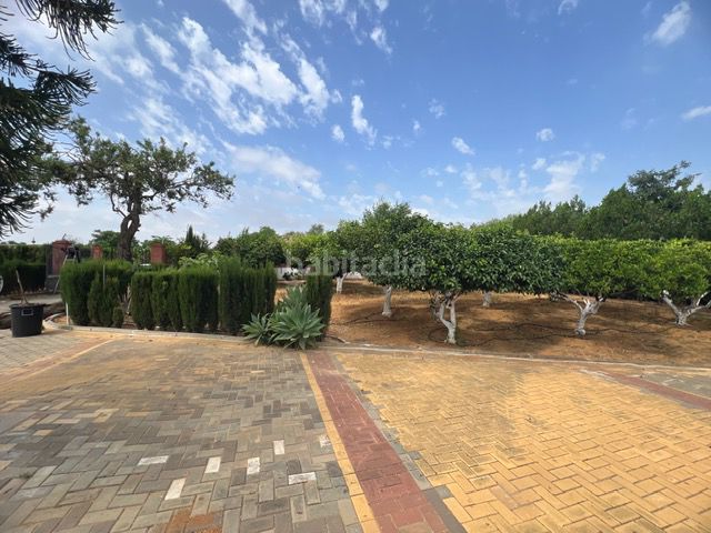 Foto b269d3c3-d424-4397-a81c-7d19e123d643. Masia a Carmona