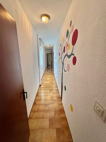 Foto 9b67f5e0-4e25-4bb8-af65-dfe569d512af. Pis a Barbate Barbate