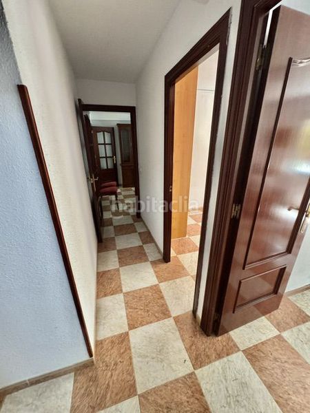 Foto 4271c06d-e5ec-4580-ab18-f0cd7d5e1cfb. Pis a San Jerónimo - La Bachillera Sevilla