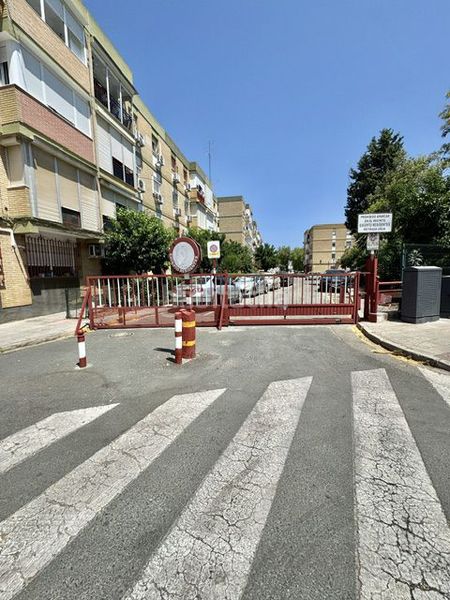 Foto a8f0523a-9dca-45f1-b666-712ac3b2ddce. Pis a San Jerónimo - La Bachillera Sevilla