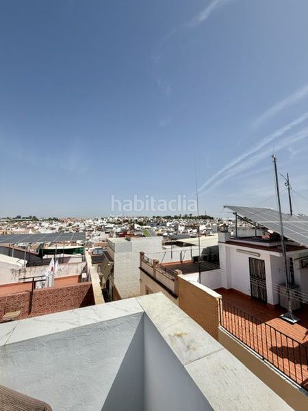 Foto 76bba061-ca69-4907-bdf1-4e87d05f00d2. Pis a Coria del Río