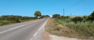 Rural plot in A-8031 26b. Gran parcela carretera dos hmnas utrera