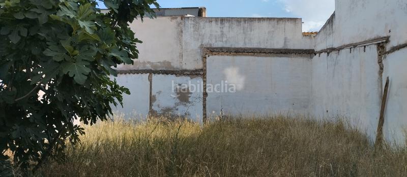 Foto 0d37c12d-0554-46d6-8750-fb6fe750396e. Terrain résidentiel dans Centro - Doña Mercedes Dos Hermanas