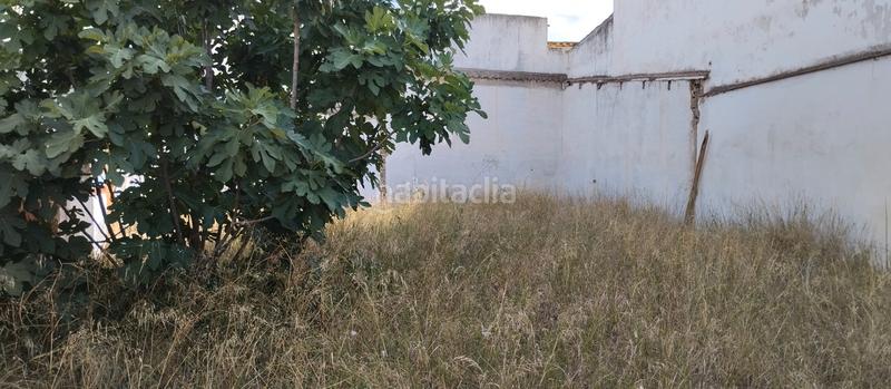 Foto be0ac9c9-e311-4639-baee-eb45b6cb4aef. Terrain résidentiel dans Centro - Doña Mercedes Dos Hermanas