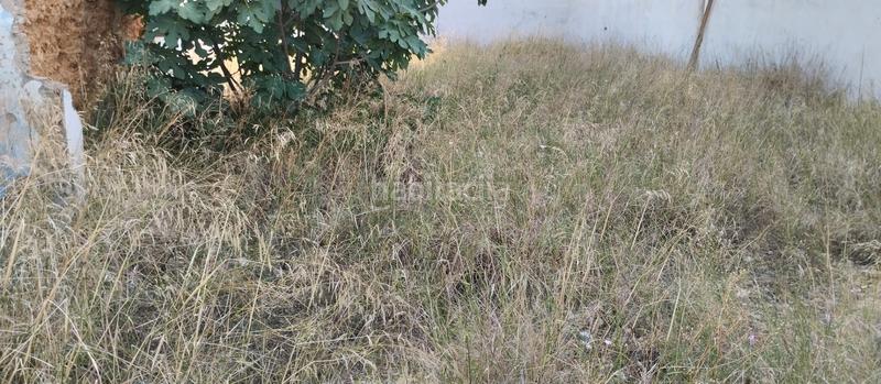 Foto e6e006d1-c2f9-4346-b151-81bef45c46a1. Terrain résidentiel dans Centro - Doña Mercedes Dos Hermanas