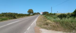 Finca rústica en Carretera sevilla utrera 2. Gran parcela el terreno es rustico
