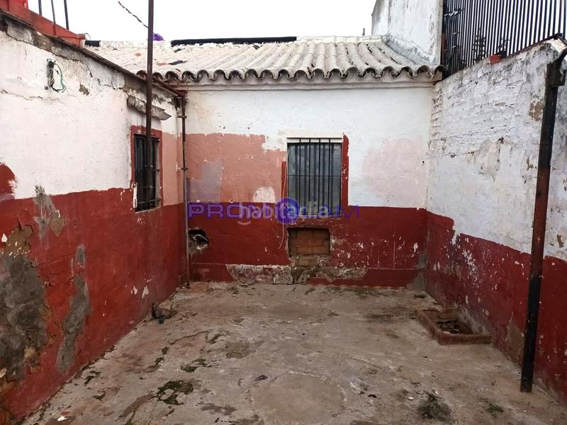 Foto 4923f8d4-7bc4-40e6-bedc-eccd6ca3ba4a. Casa  de una sola planta en la puebla del rio en Puebla del Río (La)