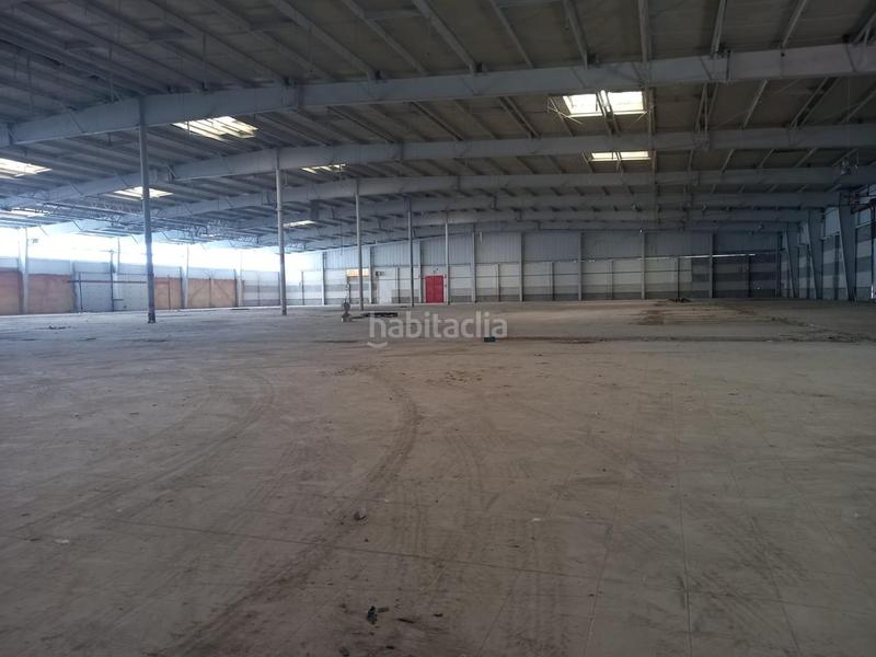Foto 1ab86241-76dd-447a-bc34-74a3f6a95442. Nau industrial a Morón de la Frontera