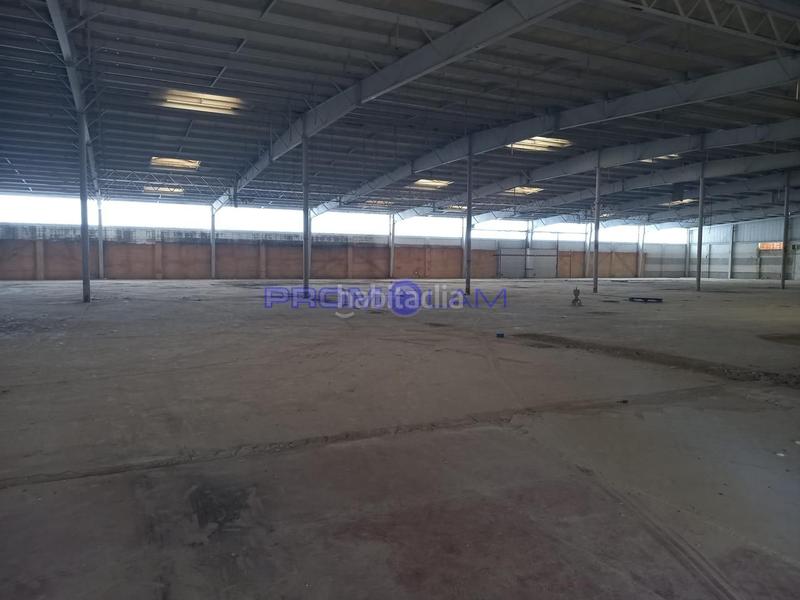 Foto bbdfd24d-3705-42cc-9555-5930b2f0c8cd. Nau industrial a Morón de la Frontera