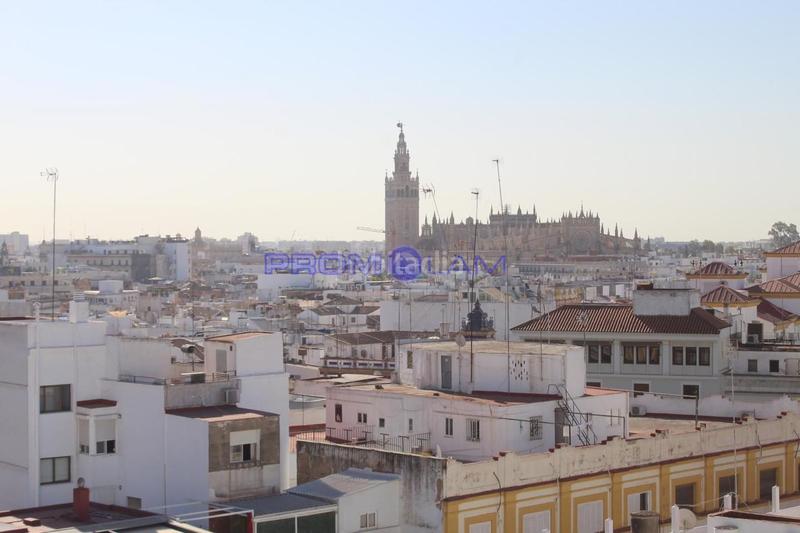 Foto 221fe396-f2cd-4419-a55a-34a3928f6ee9. Piso exclusiva vivienda con vistas en calle arjona en Sevilla