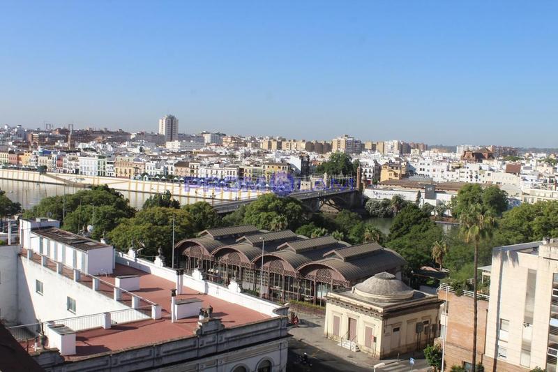 Foto f7602614-805c-48b0-b3a4-82a784a9fa21. Piso exclusiva vivienda con vistas en calle arjona en Sevilla
