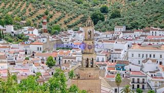Haus  De las peñuelas. Alquilado adosada en constantina