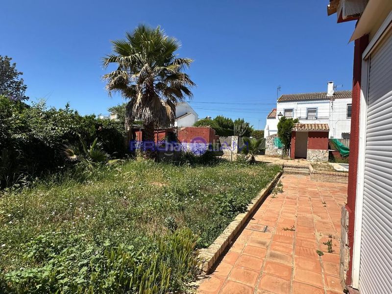 Foto 86b474fa-6c35-4dce-9989-9ef8a523ab31. Casa amb piscina a Almensilla