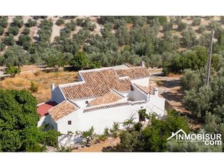 Mas à Villanueva de Algaidas. Cortijo con olivar propio y gran potencial