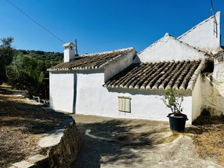 Masía en Villanueva de Algaidas. Cortijo con olivar propio y gran potencial