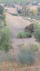 Terreno residencial en Alquera-Torrealquera