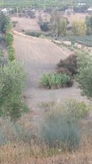 Terreno residencial en Alquería-Torrealquería