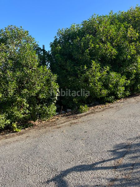 Foto b8e3acbf-b760-4f60-ba07-d7155cc5b6da. Masia a barriada el Sexmo 12 a Sexmo Cártama