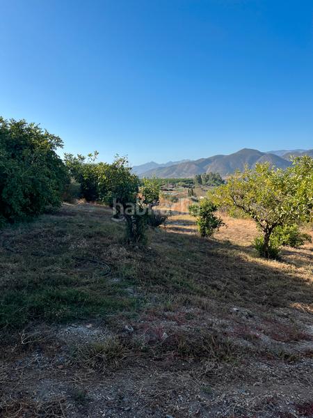 Foto 317daf79-56c3-4b6c-8659-88a65c6c9713. Mas dans calle cáceres 23 dans Cártama