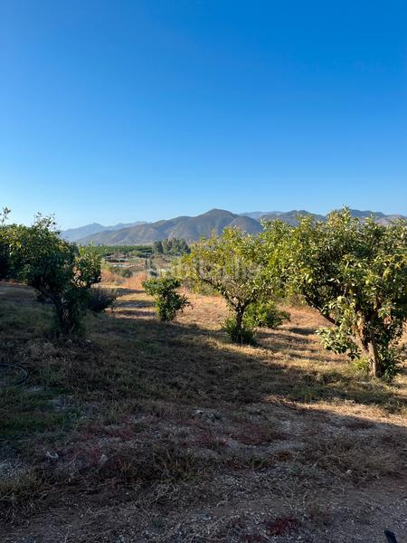 Foto 966ee66c-9e37-42e1-b29e-a102f49b4114. Mas dans calle cáceres 23 dans Cártama