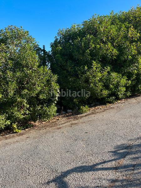 Foto b8e3acbf-b760-4f60-ba07-d7155cc5b6da. Mas dans calle cáceres 23 dans Cártama