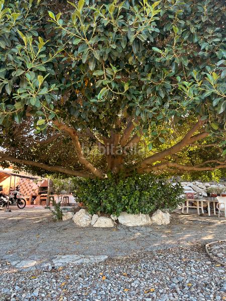 Foto 1257b4a8-d977-4a32-87e8-c571e4be1db0. Masía en calle cáceres 23 en Cártama