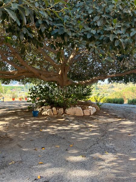 Foto 69f38f93-ef01-4e48-8afd-967cc579c50c. Masía en calle cáceres 23 en Cártama