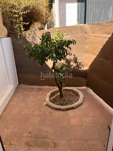 Foto f800a638-e8d9-41ca-82ea-09717e237996. Alquiler apartamento en carretera la fresneda 54 en Málaga