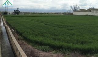 Terreno residenziale in Angustias - Chana - Encina