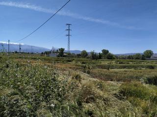 Terreny residencial a Angustias - Chana - Encina