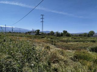 Rural plot in Angustias - Chana - Encina